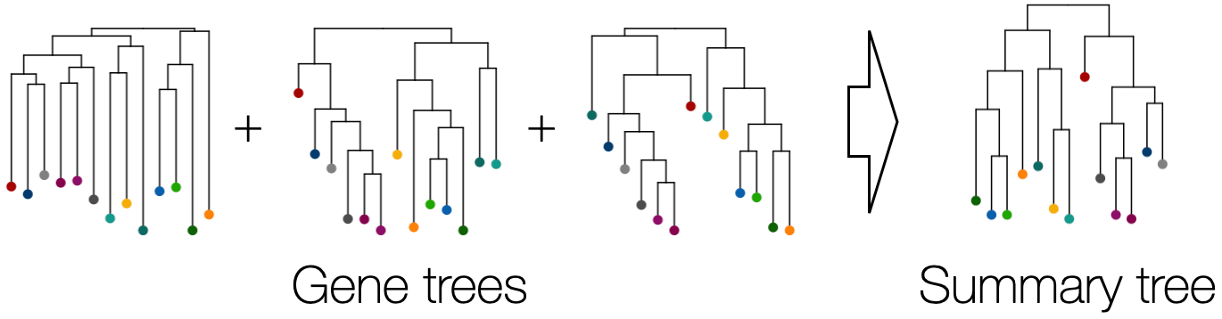 SummaryTree
